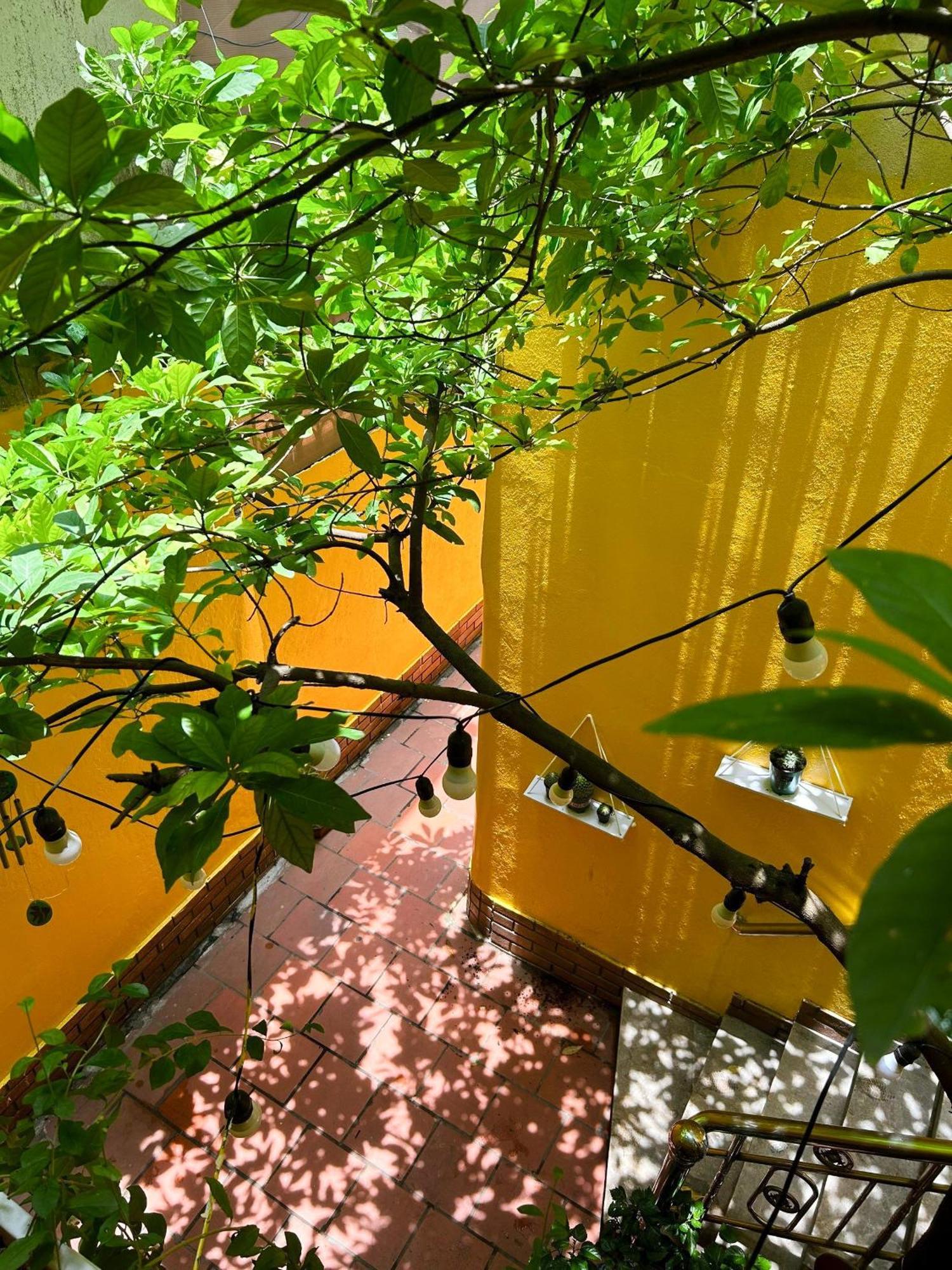 Morri Homestay - Quan Thanh Hanoi Exterior foto