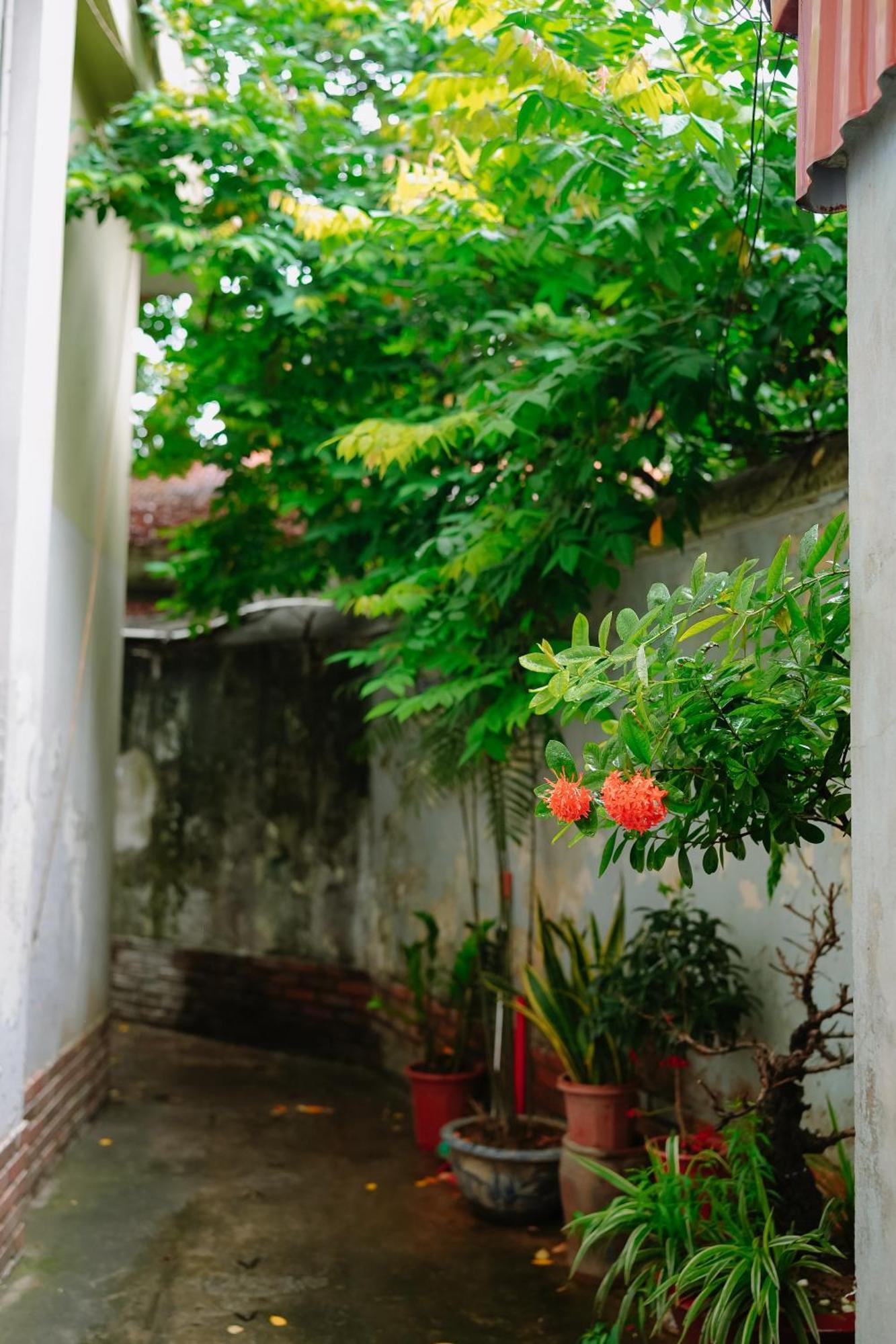 Morri Homestay - Quan Thanh Hanoi Exterior foto