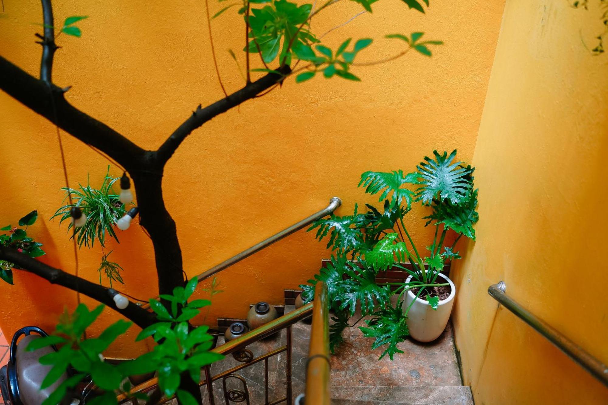 Morri Homestay - Quan Thanh Hanoi Exterior foto