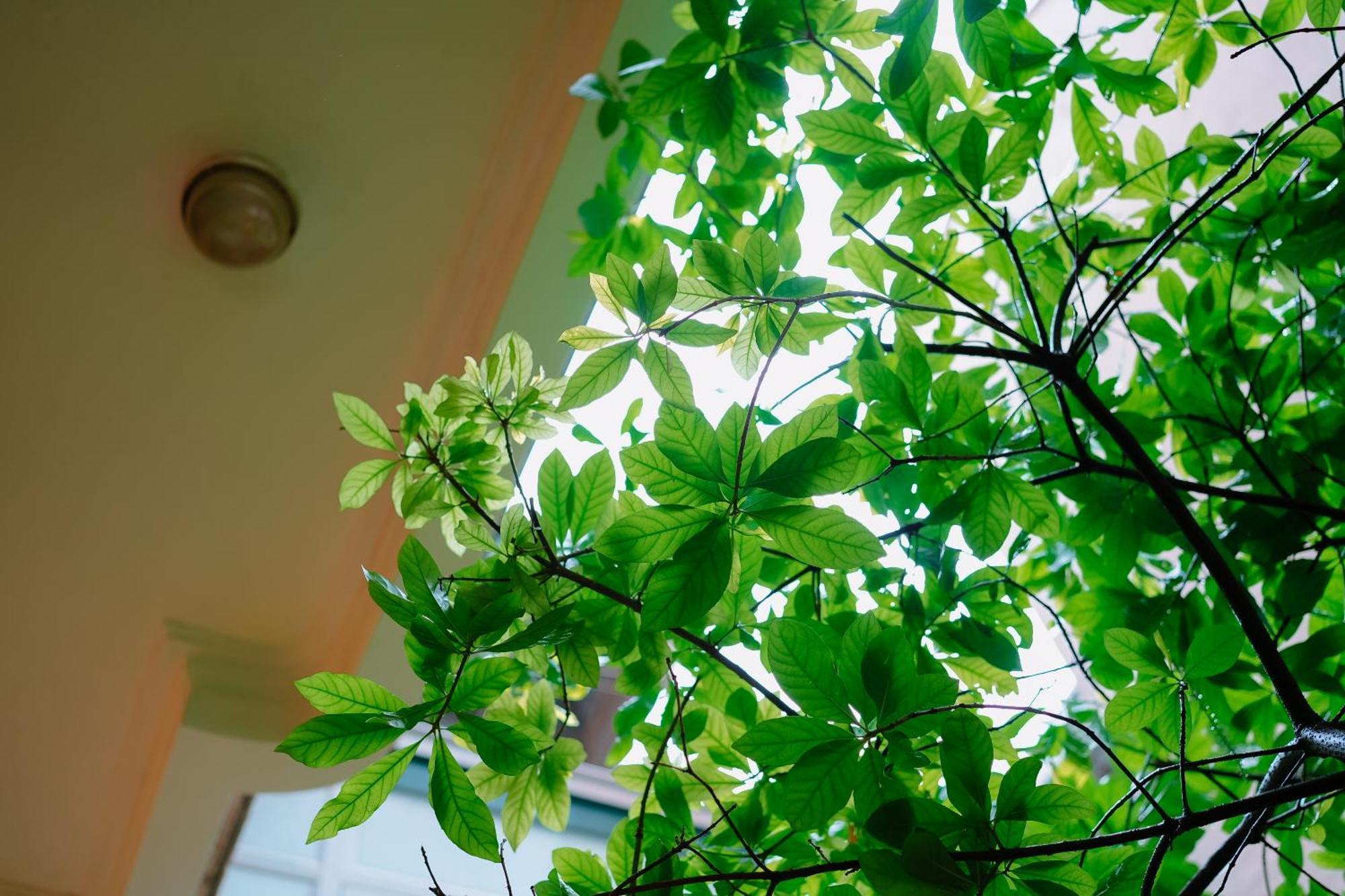 Morri Homestay - Quan Thanh Hanoi Exterior foto