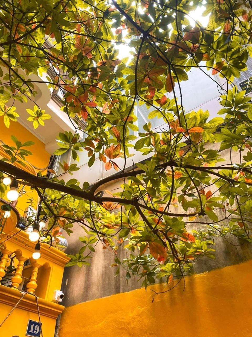Morri Homestay - Quan Thanh Hanoi Exterior foto