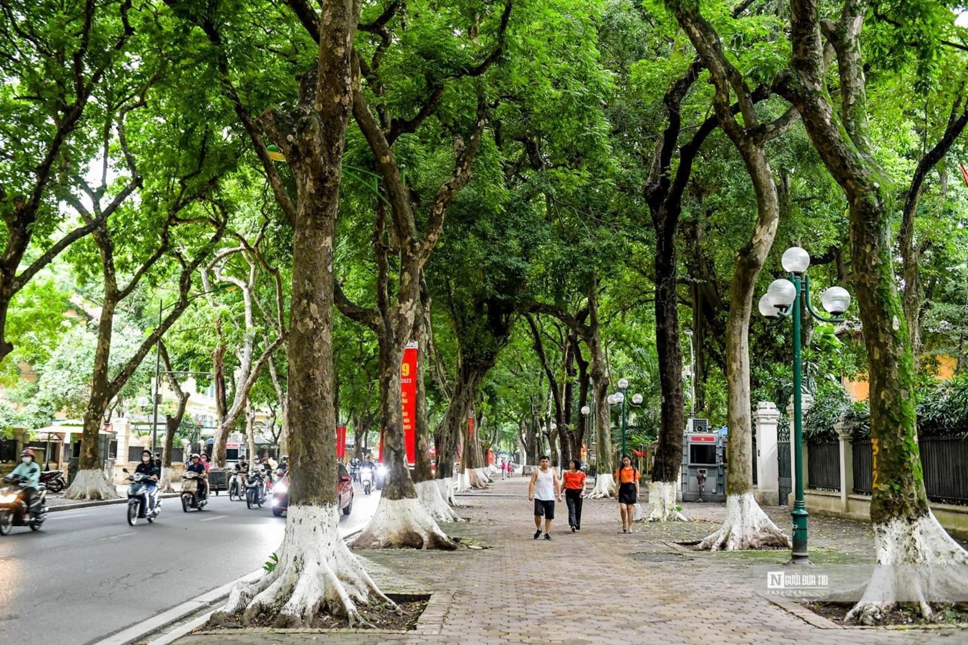 Morri Homestay - Quan Thanh Hanoi Exterior foto
