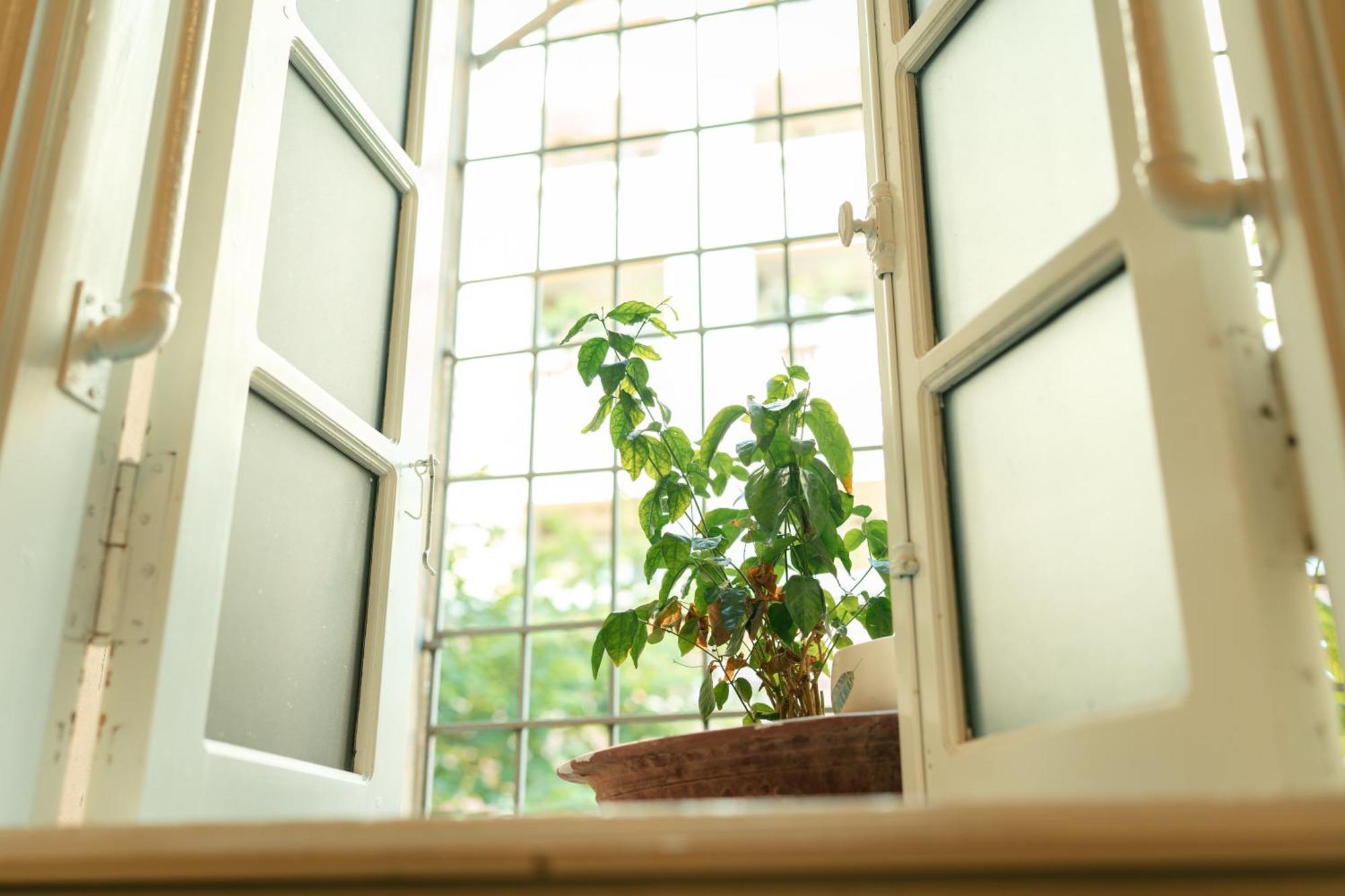 Morri Homestay - Quan Thanh Hanoi Exterior foto